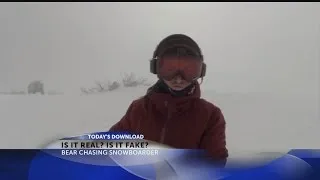 Is the bear snowboarder video fake?