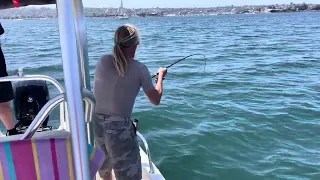 SD bay fishing , hookup baits, 12lb,