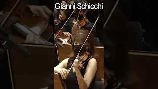 Gianni Schicchi • Duangamorn Fu • Alfonso Scarano & Thailand Philharmonic Orchestra #shorts