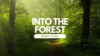 Into The Forest / W stronę lasu