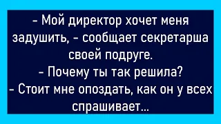 💁‍♂️Идёт Бракоразводный Процесс...Большой Сборник Смешных Анекдотов,Для Супер Настроения!