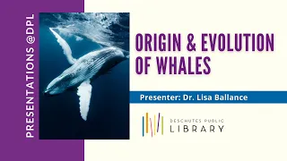 Origin & Evolution of Whales