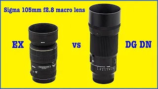 Sigma 105mm f2 8 DG DN macro lens review