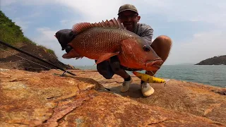 EPIC Spot for Snapper and Trevally Fishing with Lures