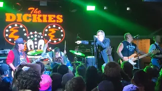 THE DICKIES - Live - FULL SET! Brooklyn, NY - November 11th, 2022