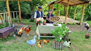 Рулет из Жареного Баклажана с Мясом и Овощами.  Kənd Dadı | A taste of the village.