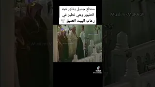 الشيخ سعود الشريم قراءة  مميزة من تراويح رمضان 1418 مقطع جميل يظهر فيه الطيور وهي تطير في رحاب البيت