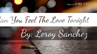 Can You Feel The Love Tonight Lyrics Video  By: Leroy Sanchez