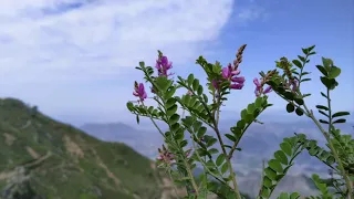 Beautiful Pakistan in 4K | Pakistan traveling | Relaxation music
