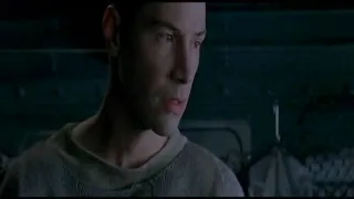 The Matrix (1999) - Дельфин - Дилер