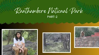 Ranthambore National Park Part 2: Afternoon Safari In Canter Zone 2 And 4