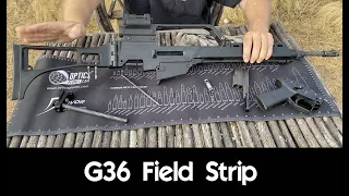 G36 - Field Strip