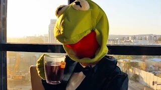 Kermit Memes In Real Life