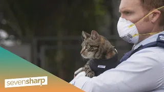 New Zealand Police un-leash video of their furry new recruit