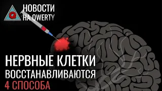 Как бактерии защищают от радиации и фриссоны у людей. Главное на QWERTY №147