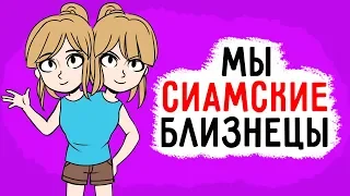 МЫ СИАМСКИЕ БЛИЗНЕЦЫ (Анимация) - История из Жизни