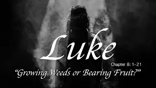 “Growing Weeds or Bearing Fruit” - Luke 8:1-21 - Calvary Chapel New Harvest - 9am Service