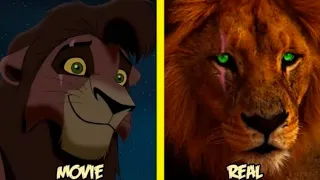 The Lion King Characters In Real Life All Characters