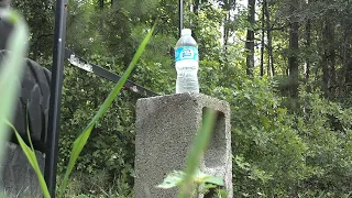 .243 vs water bottle