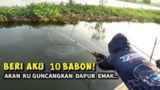 Hanya Sungai Tapi.. Joranku disiksa ikan babon dari awal sampai akhir