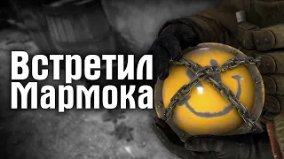 #2 CS:GO | ВСТРЕТИЛ МАРМОКА В CS:GO (НЕТ)