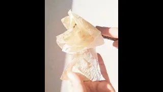 Como hacer 4 flores diferentes y teñir papel sin gastar 1 solo peso.