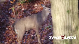 Insane Wound Channel- Blood Pouring out of this buck!