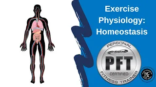 Homeostasis - Exercise Physiology Review for Personal Fitness Trainer Exam