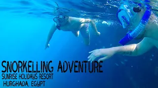 Snorkelling Adventure at Sunrise Holidays Resort, Hurghada, Egypt