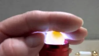 Candling Infertile Budgie Egg