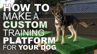 How to Make a Custom Training Platform for Your Dog.