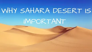 Why Sahara Desert Is Important?