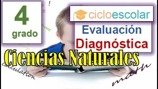 EVALUACION DIAGNOSTICA CIENCIAS NATURALES - 4to Grado Primaria