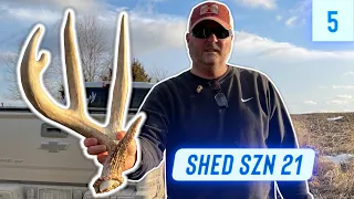 Shed Hunting 2021 Week 5 | HUGE IOWA 5 POINT