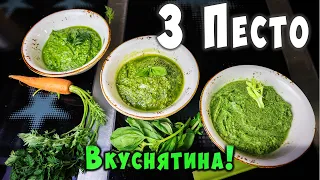 3 ВКУСНЕЙШИХ СОУСА ПЕСТО. Из Базилика, Сельдерея, Морковной ботвы.