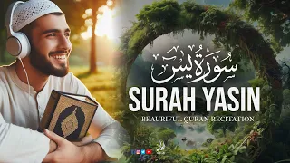 Amazing recitation of Surah Yasin | Yaseen سورة يس | Peaceful Quran