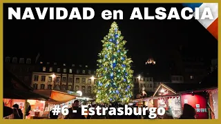 🇫🇷 ESTRASBURGO: Vive la MAGIA de los MERCADOS NAVIDEÑOS | 🎅 NAVIDAD en Alsacia #6 | En AUTOCARAVANA