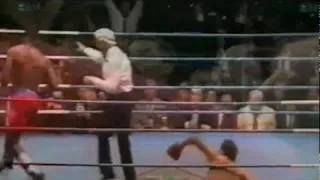 Lennox Lewis Knockouts & Highlights