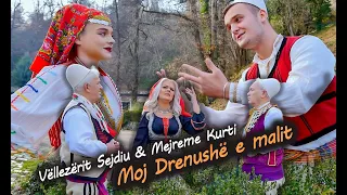 Vellezerit Sejdiu & Mejreme Kurti  - Moj drenushe e malit (Official Video)