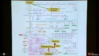 IDH1 and other targets in metabolism