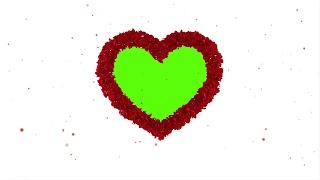 Сердце из лепестков роз, зеленый фон, хромакей, день влюбленных