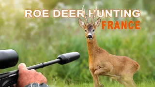 Roe Deer hunting in France // Chasse au Brocard (Cheuvreuil) en France // 2021