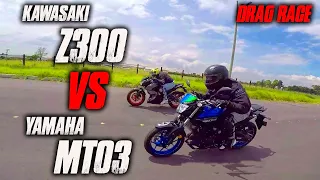 MT03 VS Z300 Batalla a Muerte!! Drag Race