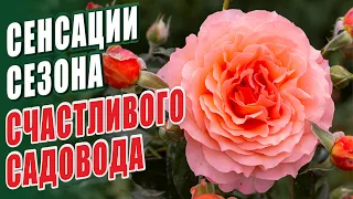 СЕНСАЦИИ СЕЗОНА СЧАСТЛИВОГО САДОВОДА. НОВИНКИ СОРТОВ РОЗ В САДУ.