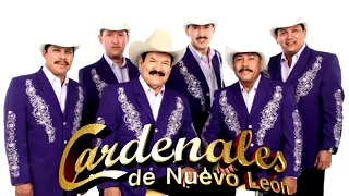 Los Cardenales de nuevo León Mix Las Más Dolidas