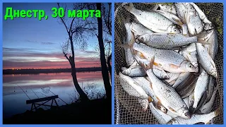 Рыбалка на Днестре 30 марта. База Русалка, открытие фидерного сезона 2024