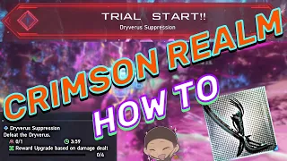 PSO2 NGS | How To Properly Run Crimson Realm PSE
