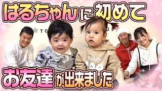 【赤ちゃんコラボ】はるちゃんにお友達が出来ました