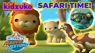 Octonauts: Above & Beyond - 🦁 Safari Time! ⏰ | Compilation | @OctonautsandFriends​