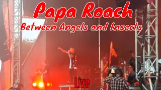 Papa Roach - Between Angels and Insects Live at Welcome to Rockville, Jacksonville, FL 2019.